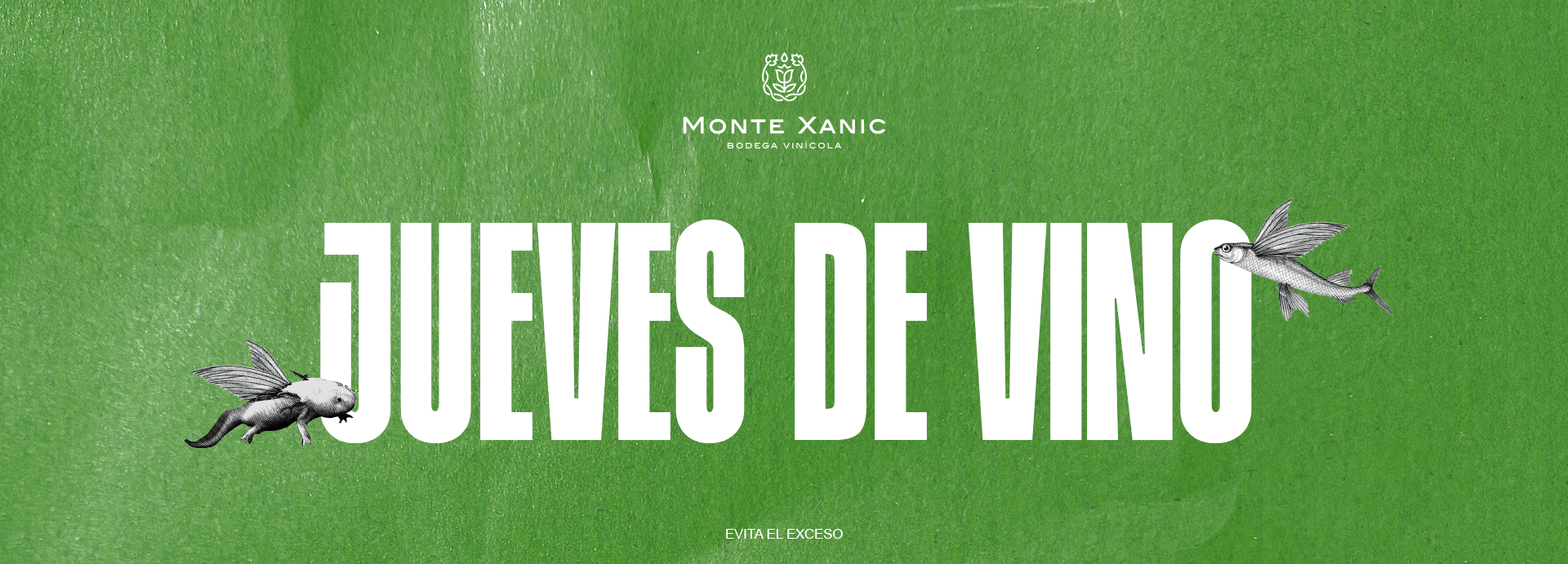 Regala MX kits de vinos